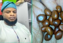"Never Seen This Before": Strange Seeds Found in Dead Man's Bags Goes Viral on Social Media
