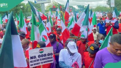 Why court jailed NLC chairman in top northern state, reason emerges