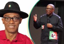 Details emerge as Labour Party chairman plans to suspend Peter Obi