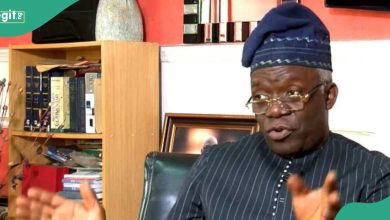 Falana: Rivers PDP Lawmakers Who Decamped to APC Have Lost Their Seats