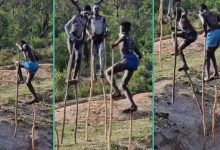 Video of young African boys walking with long sticks gets over 20 million views...