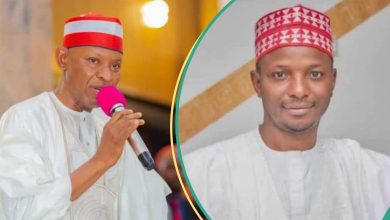 Why I Appointed Kwankwaso's Son as Commissioner, Kano Governor Explains