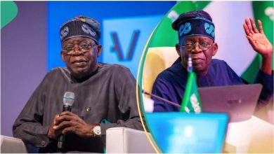 "He Is Still Implementing Some Policies": APC Member Unveils When to Judge Tinubu
