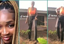 Nigerian Lady Visits Late Parents' Graveside to Announce Her Wedding, Video Stirs Emotions Online