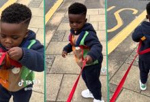 Video: This boy does not stay in one place, see what his mother did to him