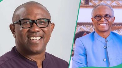 BREAKING: Peter Obi to dump Labour Party for SDP - Top opposition figure speaks ahead of 2027