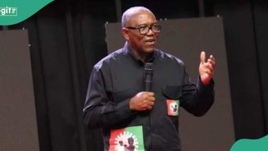 2027 Presidency: Should Peter Obi Return to PDP or Remain in Labour Party?