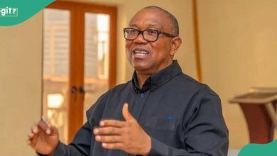 REVEALED: Why it'll be difficult for Peter Obi to become Nigeria's president