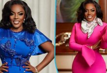 See how fans reacted after Ghanaian media personality, Nana Aba Anamoah announced she was adopting a child