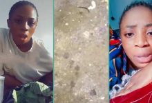 "God Please Help Me": Lady Cries Out after Finding Scary Creature In Rented Apartment, Video Trends
