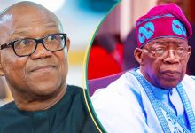 “It’s Not a One-Party State”: Nigerians React As APC Governor Begs Peter Obi To Support Tinubu