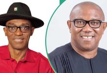 LP Crisis: How Abure Dismissed Peter Obi’s Advice for Inclusive Convention, Yinusa Tanko Speaks