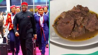 "Goat Meat": Man Reacts to Food Served on Air Peace International Flight, Hatches Funny Plan