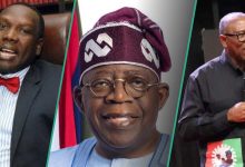 “Anambra Debt Grew by Over 1000%”: Bwala Accuses Peter Obi For Attacking Tinubu Over Borrowing