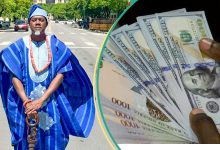 Fly Air Peace: Omokri Lists 16 Things Nigerians Must Do to Keep Naira Below 1300 Per Dollar