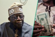 “Safe to Predict”: Tinubu’s Govt Shares Fresh Dollar to Naira Exchange Rate Projection