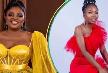 “You Wey Dem Call Tire”: Late Jenifa’s Diary Actress’ Brother Slams Funke Akindele, Gives Details