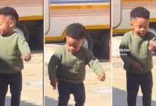Adorable Toddler Boy Joins Trending Mnike Dance Challenge, Netizens Gush