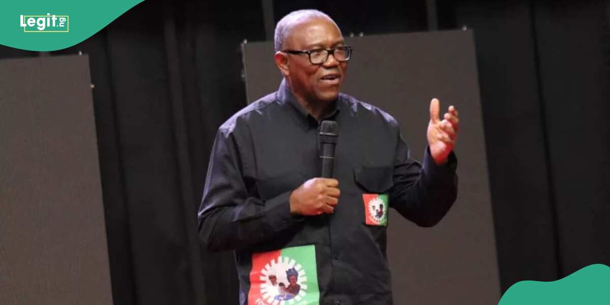 “We are aware”: Aide Discloses Fresh Plot Against Peter Obi