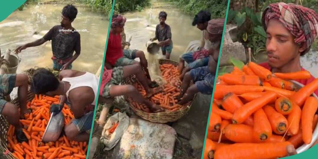 "This Is Not Hygienic": Viral Video Shows Group of Men Using their Feet to Wash Basket of Carrots