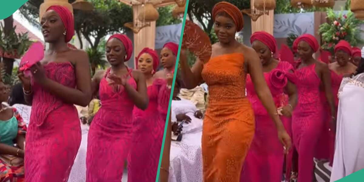 Asoebi Ladies Give Netizens Style Inspiration With Their Striking Attire: "Classy and Decent"