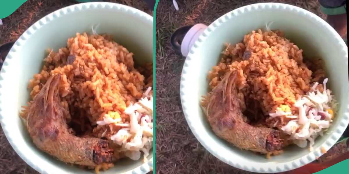 Wedding Guest Sees Head of Chicken Inside Jollof Rice Served By Couple, Video Goes Viral