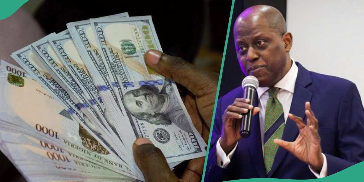 Cryptocurrency Companies Affecting Naira's Performance Against Dollar? Lawyer Reacts