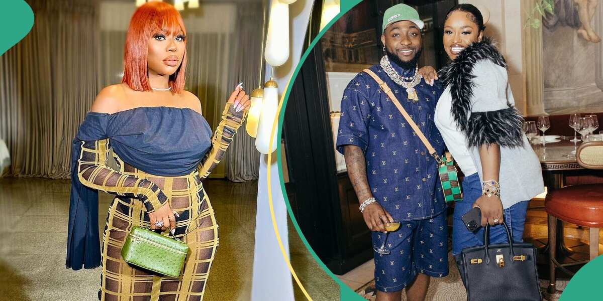 Sophia Momodu Stuns in New Pics Amid Davido’s Chioma’s Celebration, Fans Shade Singer and Wife