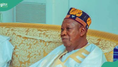 BREAKING: APC Trashes Talk of Ganduje’s Suspension, Takes Action Against Party’s Kano Ward