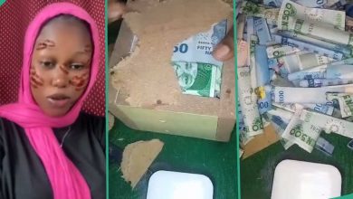 "I Started Saving Since Last Year": Lady Breaks Her Piggy Bank, Counts Plenty Naira Notes She Saved