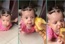 "Make Una No Born My Pikin o": Reactions as Cute Baby Enjoys Garri and Soup in Video