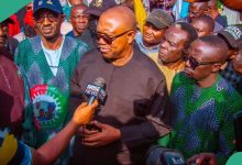 “LP Going Into Extinction If”: Peter Obi Gets Serious Warning From APC Chief