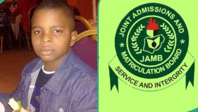 Brilliant JAMB Candidate Performs Excellently, Scores 95 in Physics, Gets 340 in 2024 UTME Aggregate