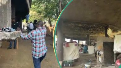“Is It by Force to Live in Lagos?”: Another Settlement Discovered Under Lagos Bridge