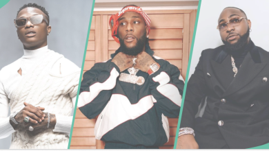 Wizkid, Davido, and Burna Boy: Siri Announces Best Artist in Nigeria, Video Triggers Many, "Na Lie"