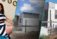 Lady Leaves Cement Blocks, Builds 1 Room with Roofing Sheets, Celebrates her Achievement