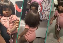 Little Girl Leaves Everyone Rolling With Laughter as She Rocks Grandma's Wig at Home, Video Trends