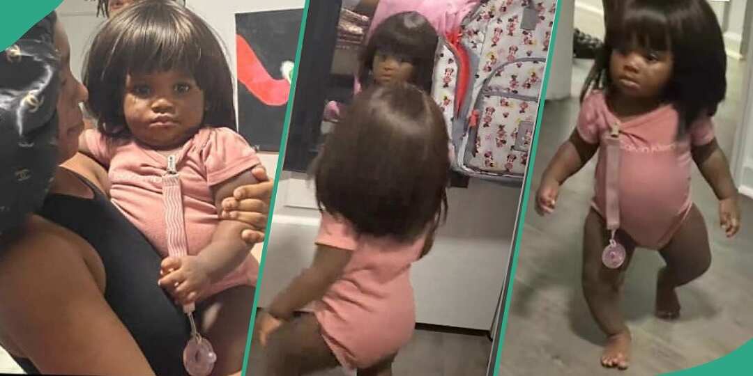Little Girl Leaves Everyone Rolling With Laughter as She Rocks Grandma's Wig at Home, Video Trends