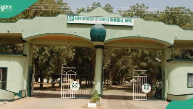 Tragedy in Kano As 300-Level Female Student Dies in Her Apartment, University Reacts