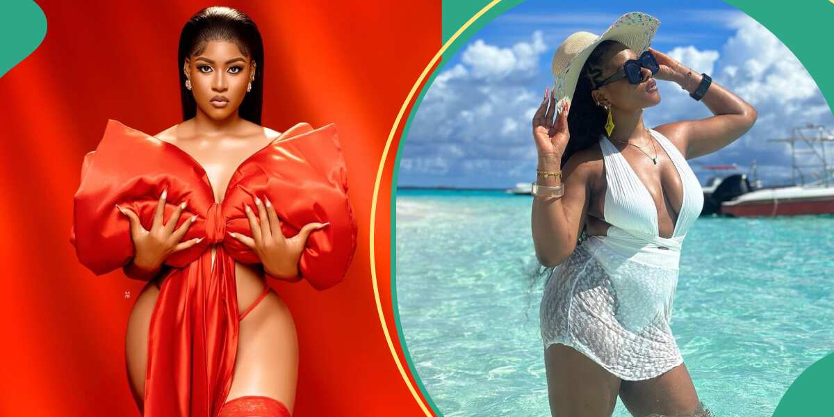 “Don’t Be Quick to Judge Others”: Leaked Raunchy Video of BBNaija’s Phyna Goes Viral, Fans React