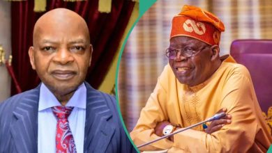 “Support Tinubu Before We Die”: Billionaire Reveals Actual Year Nigerians Will Experience Change