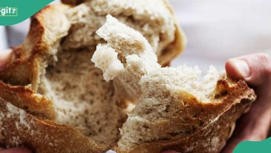 Company Drags Employees to Court for Allegedly Stealing Two Loaves of Bread
