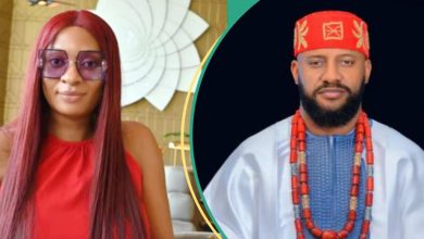 May Edochie Divorce Trial: Yul’s Lawyer Absent in Court: “They Know What Game They’re Playing”