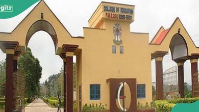 Ekiti Varsity Expels 2 Students For Flogging Colleague With Stick, Explains Cause Of Bullying