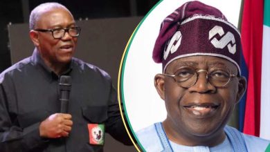 “Milking a Dying Economy”: Peter Obi Blasts Tinubu’s Govt Over 0.5% Cybersecurity Levy