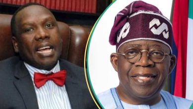 Cybersecurity Levy: Why Nigerians Should Adjust to Tinubu’s Policies, Bwala Explains