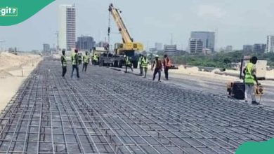 Lagos-Calabar Coastal Highway: New Twist As Owner of Demolished Beach Backs Tinubu’s Minister