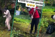 Man Charges Nigerian Couple in UK N355k to Clean their Garden, they React, Get Lawnmower