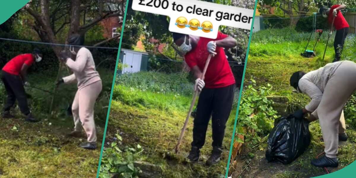 Man Charges Nigerian Couple in UK N355k to Clean their Garden, they React, Get Lawnmower
