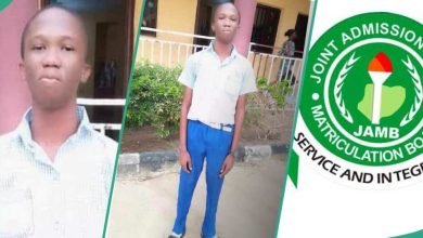 "The Highest JAMB Score in Delta": UTME Result of 16-Year-Old Boy Who Smashed 2024 Exam Surfaces